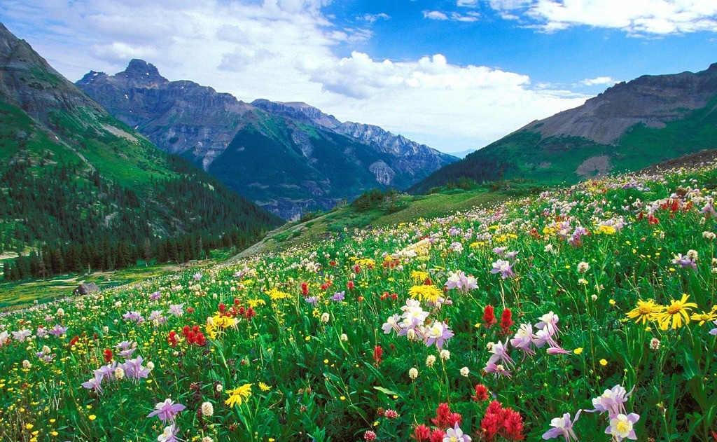 青島廢品回收，環(huán)境治理